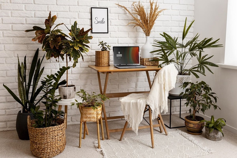 interior-design-with-wooden-furniture-plants (1).jpg